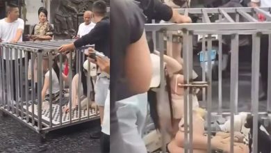 Photo of 女与黑狗被浸猪笼游街   9人摆拍博流量被捕