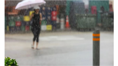 Photo of 暴雨来袭 ! 狮城部分地区气温骤降 至20.1摄氏度创新低