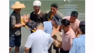 Photo of 靠生吃螃蟹活下来! 落海漂流7天 男被渔民救起