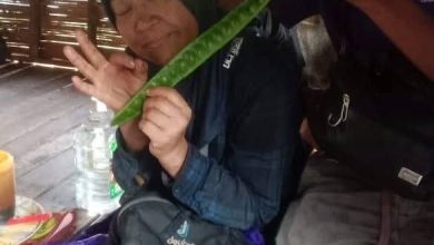 Photo of 清晨上山诵经下午就传喜讯 嘉丝琳达儿女泪谢上苍
