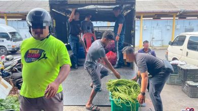 Photo of 本地人转租执照 供外劳非法卖菜