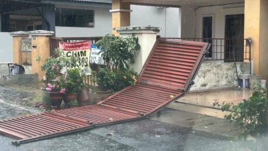 Photo of 暴雨狂风肆虐 树倒屋顶掀飞