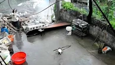 Photo of 刚进厕所下秒倒塌 女爬出废墟逃一劫