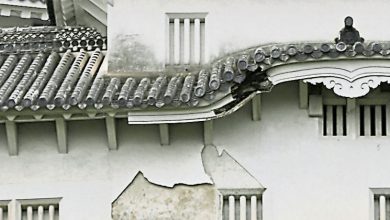 Photo of 颱风“蔷薇”袭日23伤 文化遗產姬路城受损