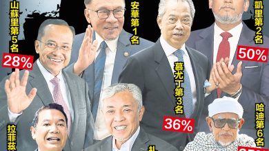 Photo of 民调总支持率      安华领跑群雄