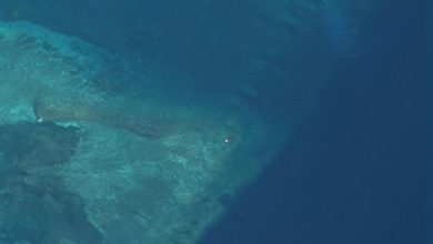 Photo of 卫星拍下南海神秘巨物 专家也难解其来历