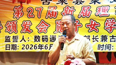 Photo of 进口菜 柴油 缺劳工三面夹攻  林仕伟：菜农缩种30%