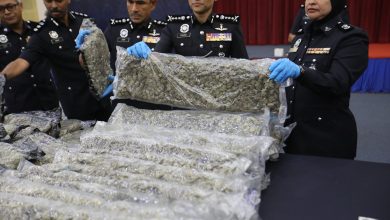 Photo of 图把大马当中转站 大麻花销欧 警连破3贩毒集团