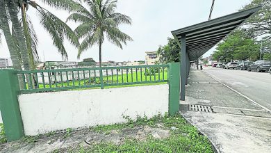 Photo of 保障学生及道路安全 椰子路校区拟落实数措施