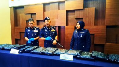 Photo of 每趟酬劳4千 大学生运毒被捕 吉警起值117万大麻花