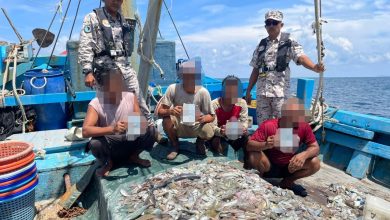 Photo of 渔船违规捕鱼 4人被查