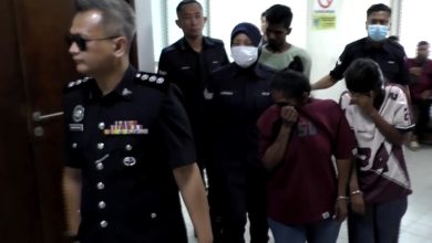 Photo of 母女女婿偷3箱啤酒 女佣认罪判监4个月