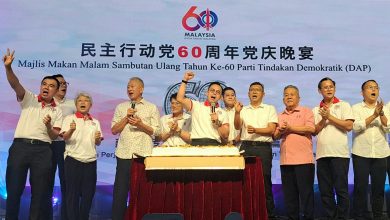 Photo of 沈志强: 陪安华访日行程太累 无暇赏樱吃寿司