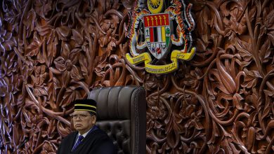 Photo of 2050年巫裔土著选民占77.5% 议长倡探讨比例代表制