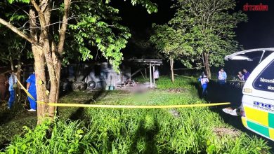 Photo of 电锯修不好引杀机 黄梨园主挥斧砍死修理工
