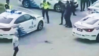 Photo of 涉偷电缆拒检逃逸 芙警追缉2印裔男落网