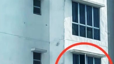 Photo of 兄妹坠楼1死1伤 外籍生母被控疏忽罪