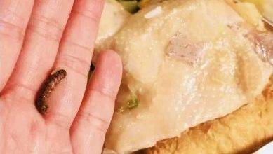 Photo of 加料不加价？旅客吃台铁便当惊见大菜虫