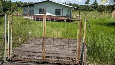 Photo of 3匪持刀斧闯屋 疯狂洗劫七旬华裔老翁