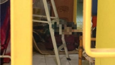 Photo of 加影行李箱藏尸案 女死者没被肢解
