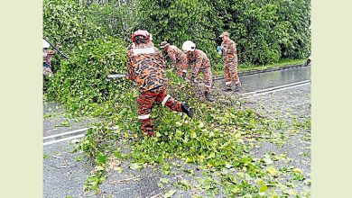 Photo of 不敌暴风雨侵袭 树倒路中央阻断交通