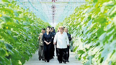 Photo of 金正恩携妻女 视察新义州温室农场