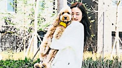 Photo of 2月与卞耀汉登记结婚 少时Tiffany携宠物犬亮相