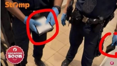 Photo of 网店主寄佛牌遭送货员指是“丧尸烟弹” 警察上门查