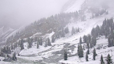Photo of 美国3州罕见6月下雪! 32度夏天秒变冬天 一片银白画面曝光