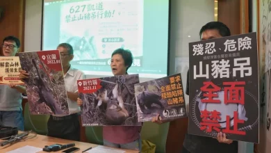 Photo of 为野生动物发声 动团吁禁山猪吊