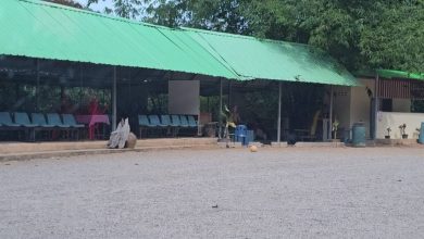 Photo of 合艾寺庙惊爆丑闻 住持与沙弥性侵4名13岁孩童