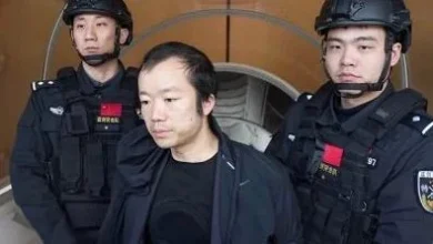Photo of 涉诈骗造假户籍!日本警方逮捕太子集团最高干部