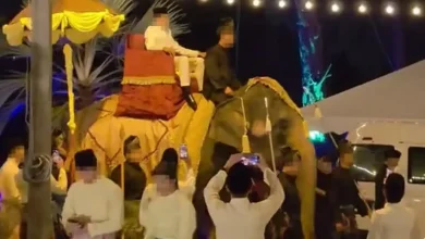 Photo of PETA:骑乘须经残酷训练 勿以大象痛苦牟利