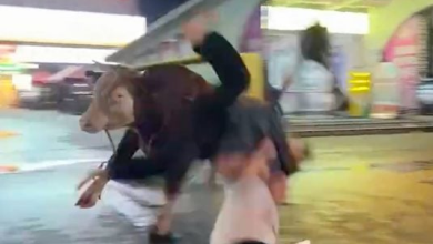 Photo of 待宰黄牛发狂冲出批发市场连撞3人 警开枪击毙
