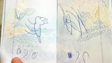 Photo of 护照被孩子涂鸦 男子花RM620改航班