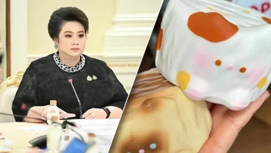 Photo of “捏捏乐”验出化学物超标 泰政府严查