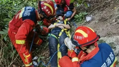 Photo of 男子坠崖挂树上昏迷 游客捡到手机抬头发现他
