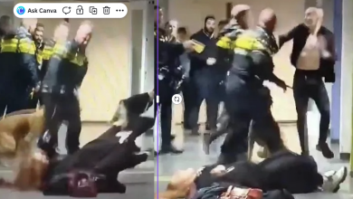 Photo of 荷兰遣返行动爆冲突 孕妇遭警员推倒拉拽惹议