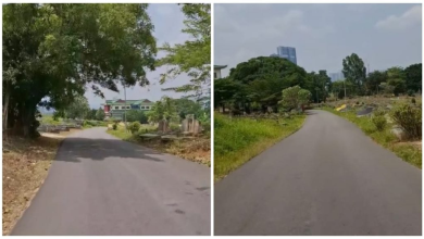 Photo of 隆市福建义山捷径爆红！ 可避车龙饱览隆市景色