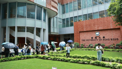 Photo of 近半香港高校大陆学生毕业后 有意留港发展