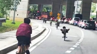 Photo of 视频〡蚊型脚车党大道狂飙 网民斥：公路定时炸弹