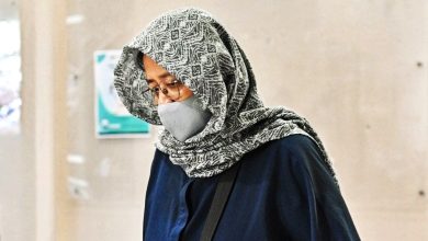 Photo of 高庭裁定无潜逃风险 达因女儿取回护照