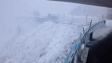 Photo of 北京6月飞雪 网民:上一秒吹空调