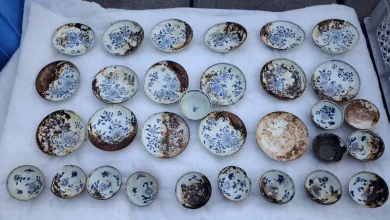 Photo of 挪威深海发现18世纪沉船　捞出大量百年青花瓷