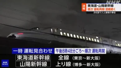 Photo of 民众闯铁轨遭撞死  日东海道新干线瘫痪3小时
