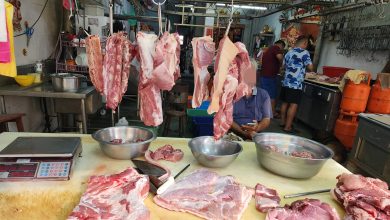 Photo of 端午粽料需求升温 猪肉价格维持稳定