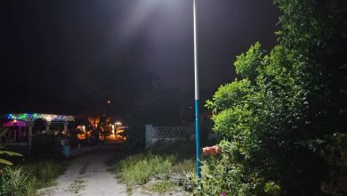Photo of 夜路不再黑 浮罗迎170盏太阳能灯