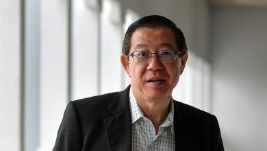 Photo of 70英亩填海没公开招标 林冠英促槟政府交代