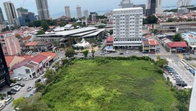 Photo of 山竹园地闲置逾10年 胡栋强: 谁该负责?