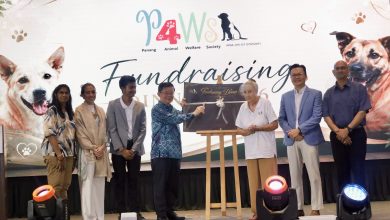 Photo of 曹观友重申“不杀戮政策” 拨5万支持4PAWS建新庇护所